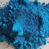 Пігмент флуоресцентний неон блакитний FBLUE 1 кг., фото 6