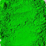 Пігмент флуоресцентний неон зелений FG 1 кг., фото 4