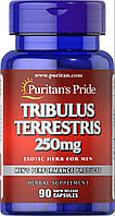 Трибулус террестрис Puritan's Pride (Tribulus Terrestris) 250 мг 90 капсул