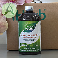 Nature's Way, Chlorofresh, жидкий хлорофилл, без добавок, 480 мл