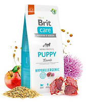 Сухой корм Brit Care Hypoallergenic Puppy гипоаллергенный корм для щенков всех пород с ягненком 12 кг