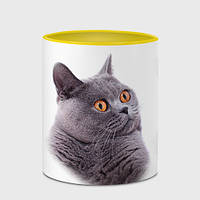 Чашка с принтом «Британец кот удивленно смотрит» (цвет чашки на выбор)