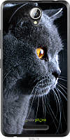 Силиконовый чехол Endorphone Lenovo A5000 Красивый кот (3038u-119-26985) PP, код: 7500910