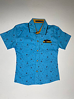 Рубашка детская летняя на пуговицах на мальчика 1-4 года (3цв) "MATILDA" купить недорого от прямого поставщика