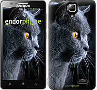 Пластиковый чехол Endorphone на Lenovo A536 Красивый кот (3038m-149-26985) PS, код: 1390861