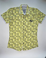 Рубашка подростковая с коротким рукавом на мальчика 10-14 лет(3цв) "MATILDA" недорого от прямого поставщика