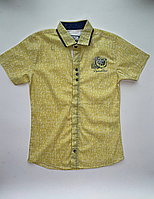 Рубашка подростковая с коротким рукавом на мальчика 10-14 лет "MATILDA" недорого от прямого поставщика