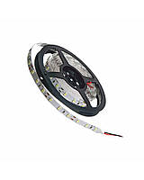 Лента светодиодная MTK-300G3528-12 №1 зеленая, 60 LED, IP20, 2835