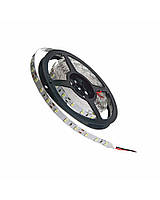 Стрічка світлодіодна MTK-600W3528-12 №1 біла, 120 LED, IP20, 2835