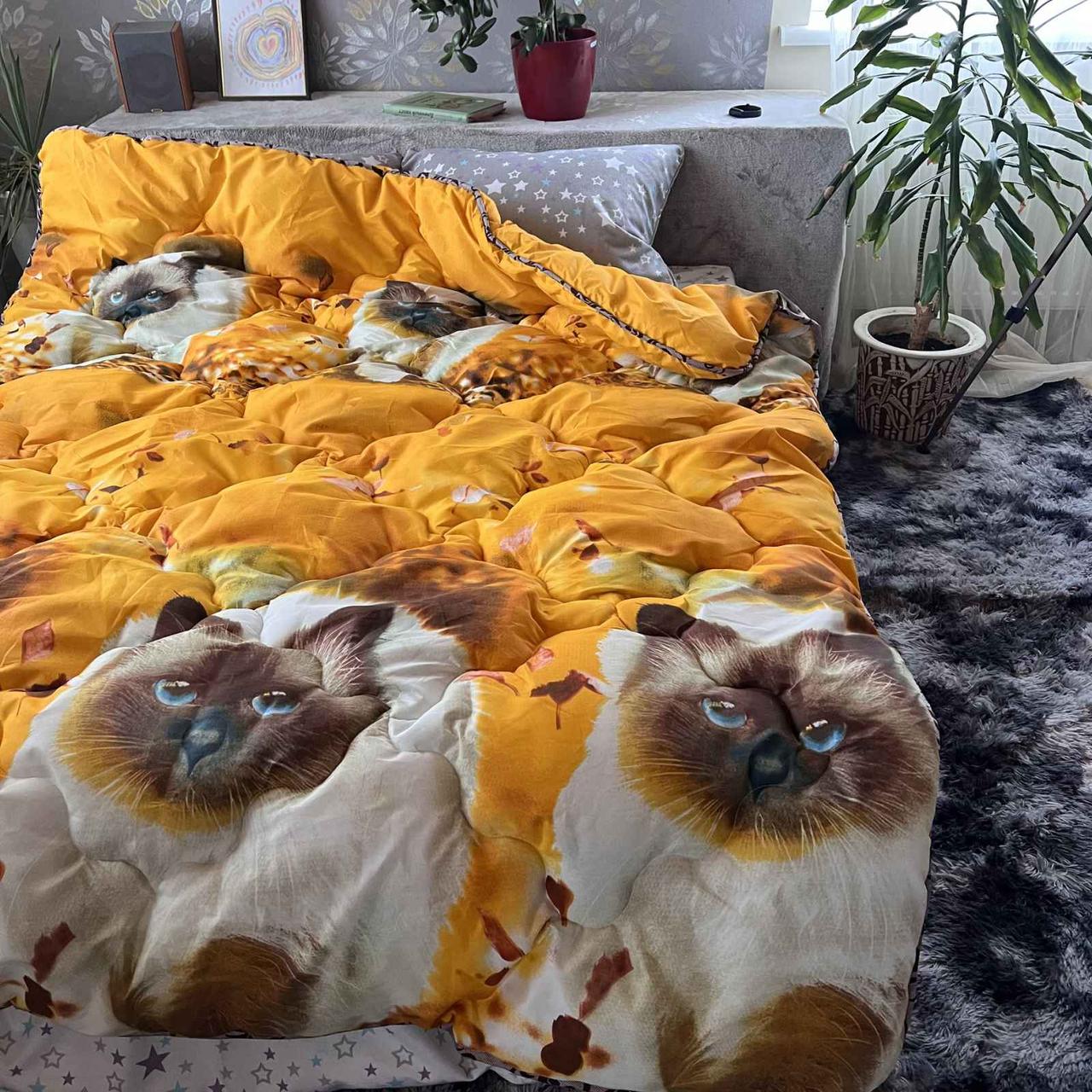 Кішка розмір Півтораспальний, фото 1