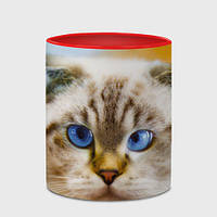 Чашка с принтом «Кошка породы шотландская вислоухая косоглазая»