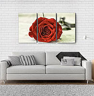 Модульна картина Poster-land Троянда Квіти Art-27_3А CP, код: 6503160