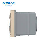 Механізм Bluetooth колонка 10 Вт Livolo золото (VL-FCF-2AP), фото 2