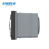 Механізм Bluetooth колонка 10 Вт Livolo чорний (VL-FCF-2BP), фото 2