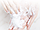 Шампунь для волосся з екстрактом женьшеню Images Fresh Moist Silk Smooth Tough Shampoo, 300 мл, фото 4