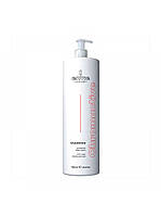 Шампунь Envie Chromactive Color Protector Shampoo для защиты цвета окрашенных волос с экстрактом граната