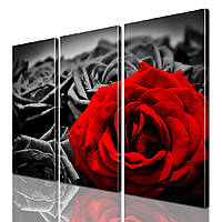 Модульная картина ArtStar цветы Красная Роза ADFL0180 размер 55 х 70 см