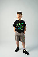 Детский летний костюм на мальчика, футболка+шорты №223805 ( р. 3-7)