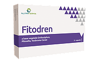 Fitodren натуральное средство для выведения излишней жидкости №20 Нутрифарм