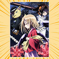 Плакат А3 Аніме Shaman King / Король Шаман 014