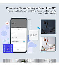 Смарт-димер вимикач MOES, Amazon, Німеччина, фото 5