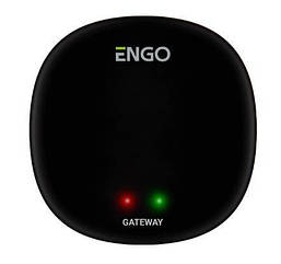 Універсальний інтернет-шлюз ZigBee 3.0 ENGO EGATEZB (932341273)