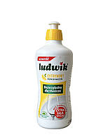 Засіб для миття посуду Ludwik 450 мл