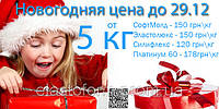 Новорічні ціни до 29-12-2013: при купівлі від 5 кг силікону - акційні ціни.