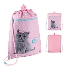 Шкільний набір Kite Studio Pets SET_SP24-501S, фото 10
