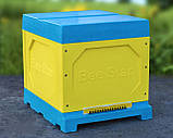 Вулик ППУ “BeeStar” (1 корпус Дадан 300 мм 10 рамок) – кольоровий, фото 6