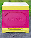 Вулик ППУ “BeeStar” (1 корпус Дадан 300 мм 10 рамок) – кольоровий, фото 7