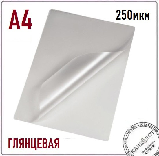 Плівка глянцева AGENT ANTISTATIC А4 (216х303), 250мкм, 100шт. (3140052)