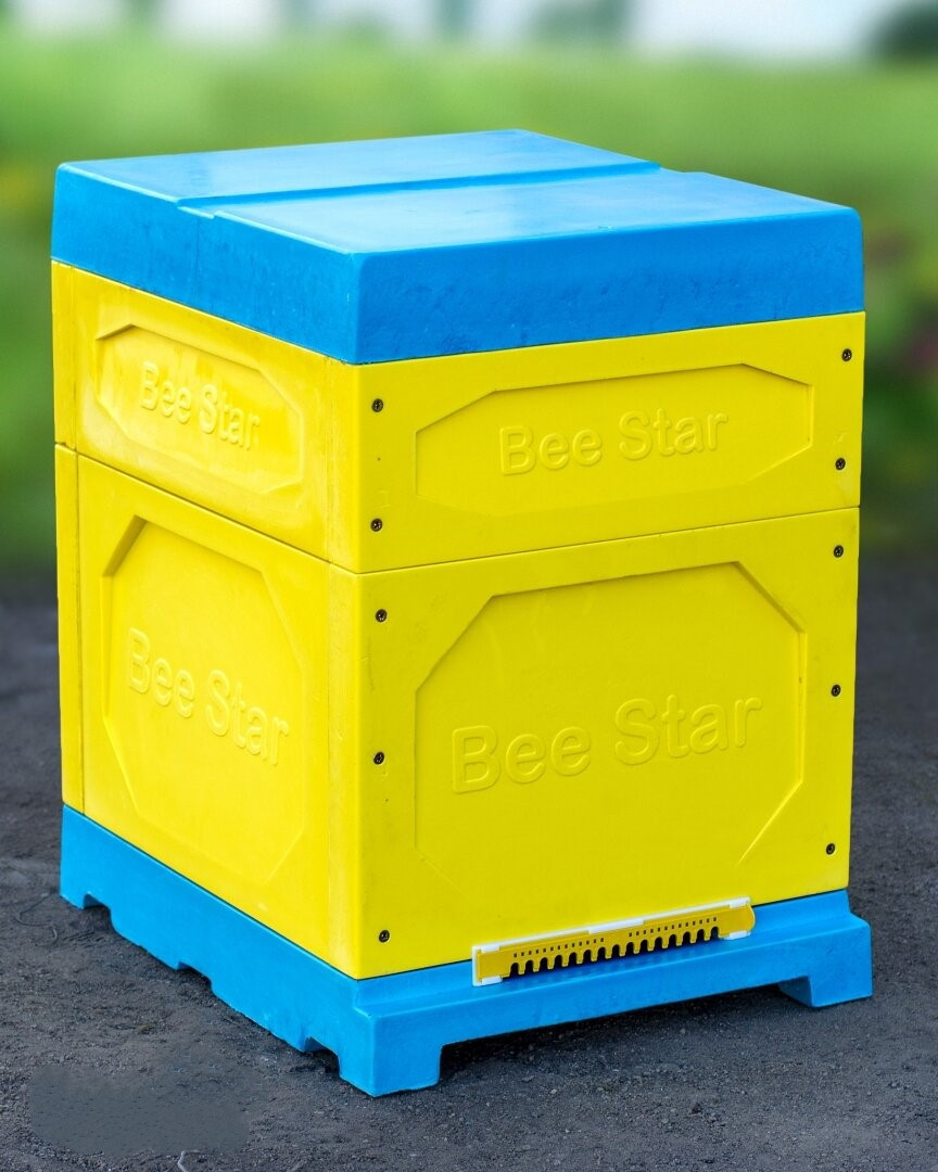 Вулик ППУ “BeeStar” (1 корпус Дадан 300 мм + 1 магазин на 10 рамок) – кольоровий