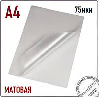 Пленка матовая AGENT ANTISTATIC А4 (216х303), 75мкм, 100шт. (3140098)