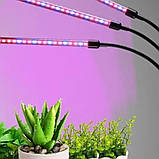 Фітолампа для рослин 45 Вт LED світильник на керуванні зі зміною кольору та таймером потрійний, фото 7