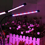 Фітолампа для рослин 45 Вт LED світильник на керуванні зі зміною кольору та таймером потрійний, фото 9