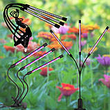 Фітолампа для рослин 45 Вт LED світильник на керуванні зі зміною кольору та таймером потрійний, фото 3