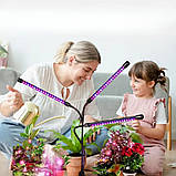 Фітолампа для рослин 45 Вт LED світильник на керуванні зі зміною кольору та таймером потрійний, фото 8