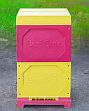 Вулик ППУ “BeeStar” (2 корпуси Дадан 300 мм на 10 рамок) – кольоровий, фото 3