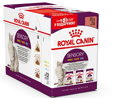 Royal Canin Sensory Gravy Multi-pack 85г*12шт  паучи для кошек  (кусочки в соусе)