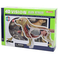 Пазл 4D Master Объемная анатомическая модель Собака золотистый ретривер FM-622007 DAS