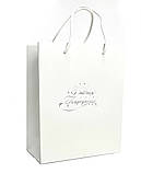 Пакет 250*80*355 мм