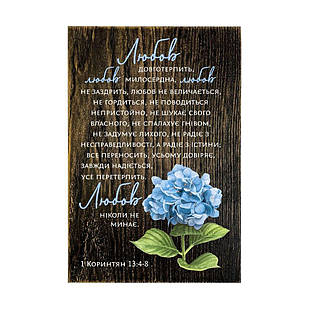 Декоративна дерев'яна плакетка 20х30 Любов довготерпить коричневий вінтаж хрпл10013кву