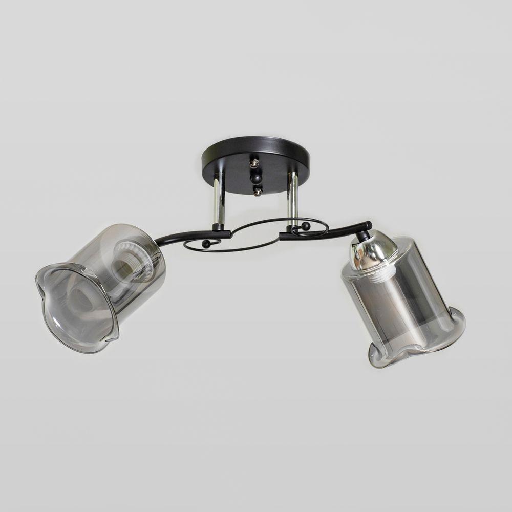 Люстра стельова на два плафони