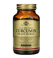 Full Spectrum Curcumin Brain Works - 90 Licaps (SOL-00551)