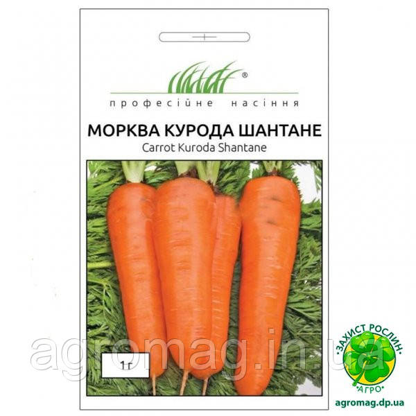 Морква Курода Шантане 1г