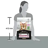 Сухий корм PRO PLAN Adult 1+ Delicate Digestion для дорослих кішок з ягням 3 кг (7613035846708), фото 3