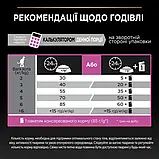 Сухий корм PRO PLAN Adult 1+ Delicate Digestion для дорослих кішок з ягням 3 кг (7613035846708), фото 10