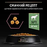 Сухий корм PRO PLAN Adult 1+ Delicate Digestion для дорослих кішок з ягням 3 кг (7613035846708), фото 9