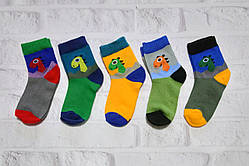 Шкарпетки — сітка літні для хлопчиків із принтом "Динозаврик" р 3-5 л